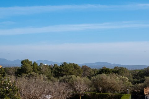 Penthouse for sale Sa Rapita, Mallorca, Spain 2 bedrooms, 95 sq.m. No. 119887 - photo 2