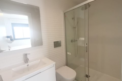 Продажа квартиры в Торревьеха, Аликанте, Испания 2 спальни, 60м2 №149723 - фото 9