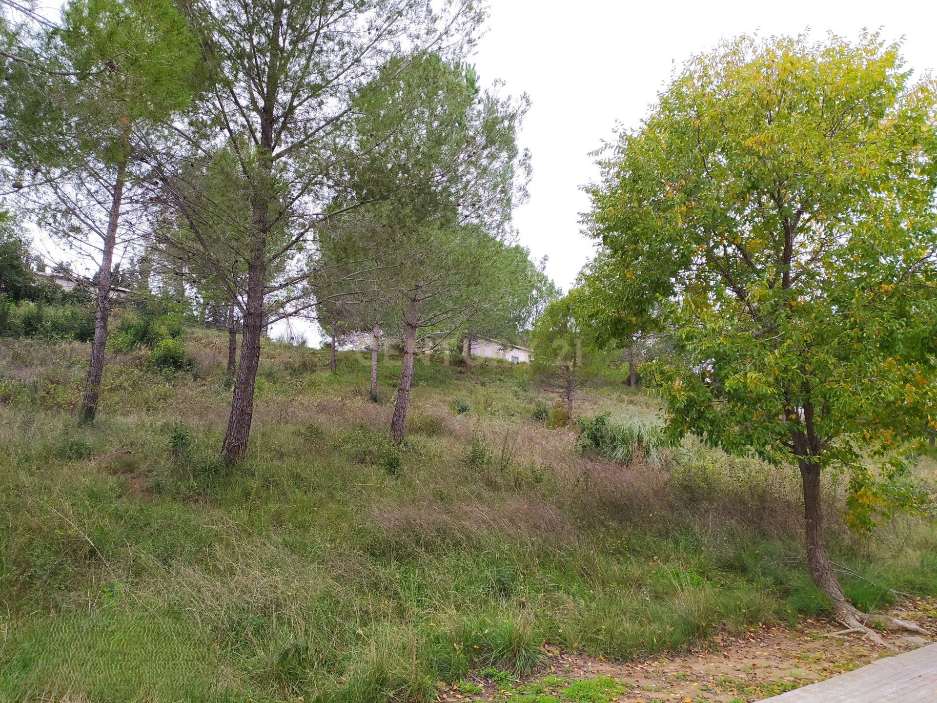 Land plot in Sant Llorenc D'hortons, Barcelona, Spain No. 186448