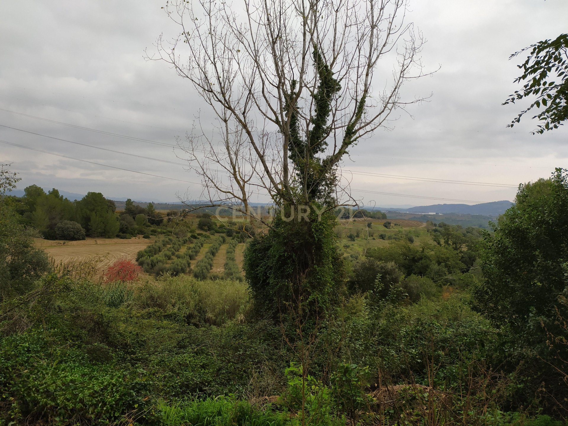 Land plot in Sant Llorenc D'hortons, Barcelona, Spain No. 186448
