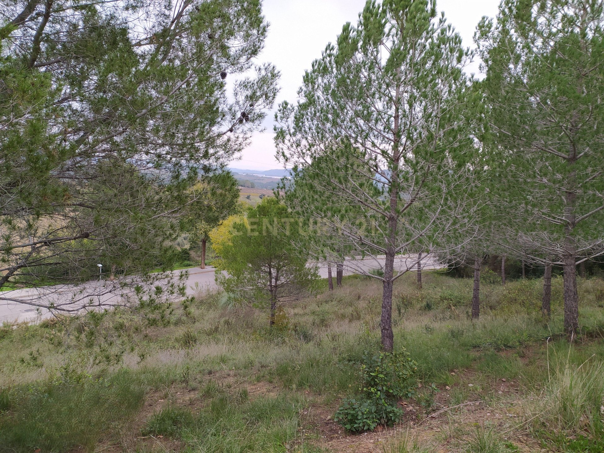 Land plot in Sant Llorenc D'hortons, Barcelona, Spain No. 186448