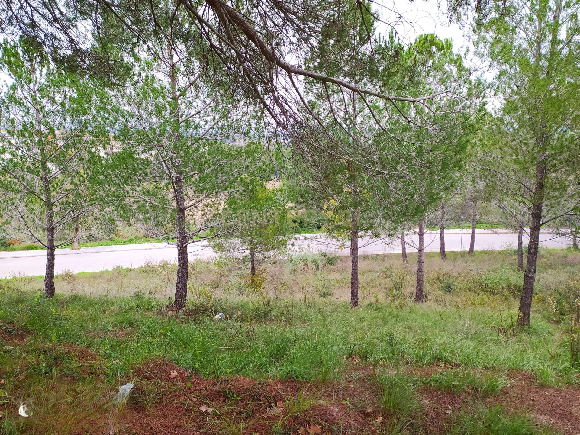 Land plot in Sant Llorenc D'hortons, Barcelona, Spain No. 186448