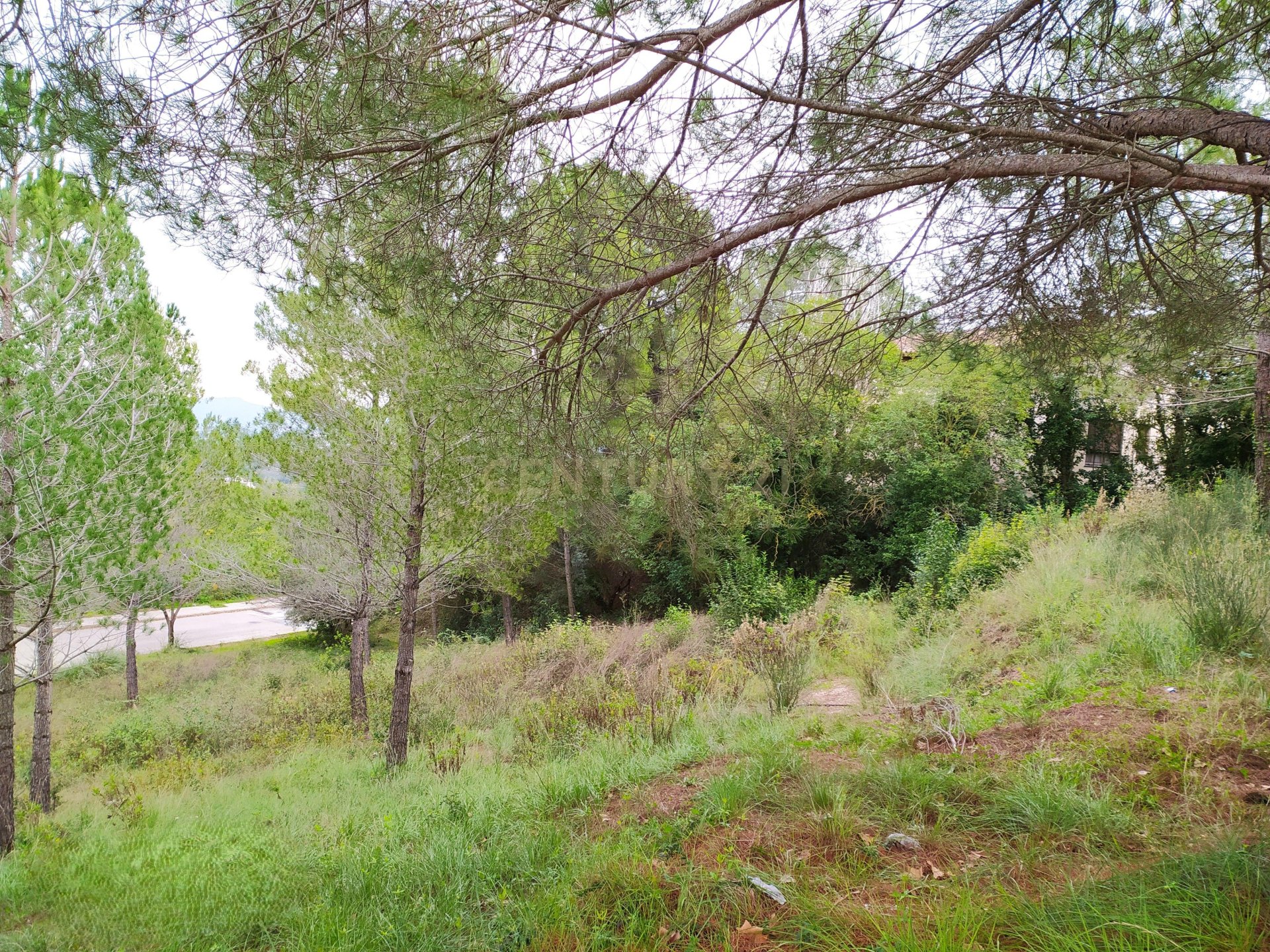 Land plot in Sant Llorenc D'hortons, Barcelona, Spain No. 186448