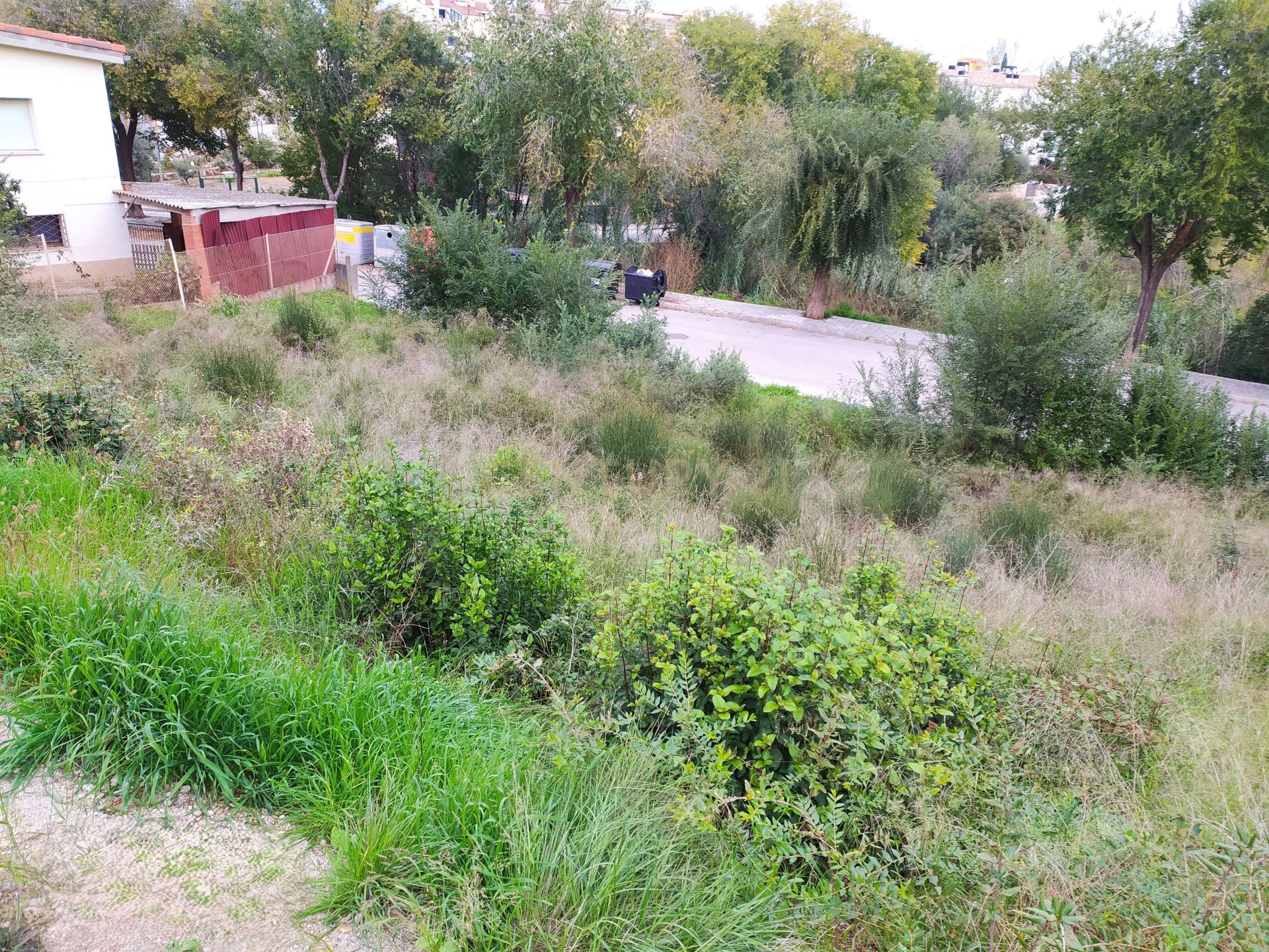 Land plot in Sant Llorenc D'hortons, Barcelona, Spain No. 186448