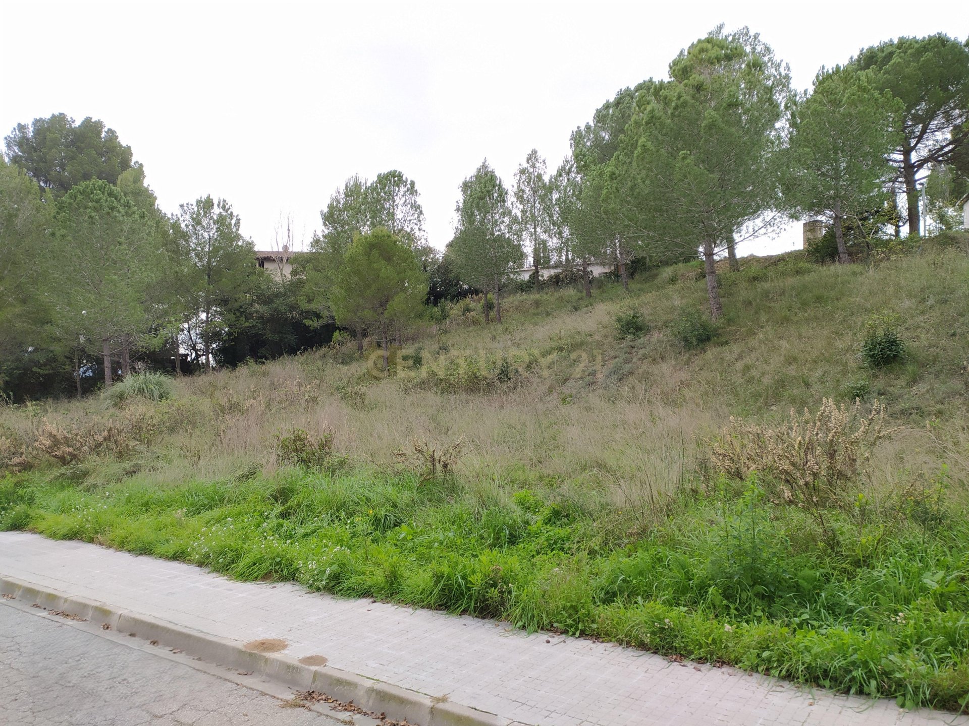Land plot in Sant Llorenc D'hortons, Barcelona, Spain No. 186448