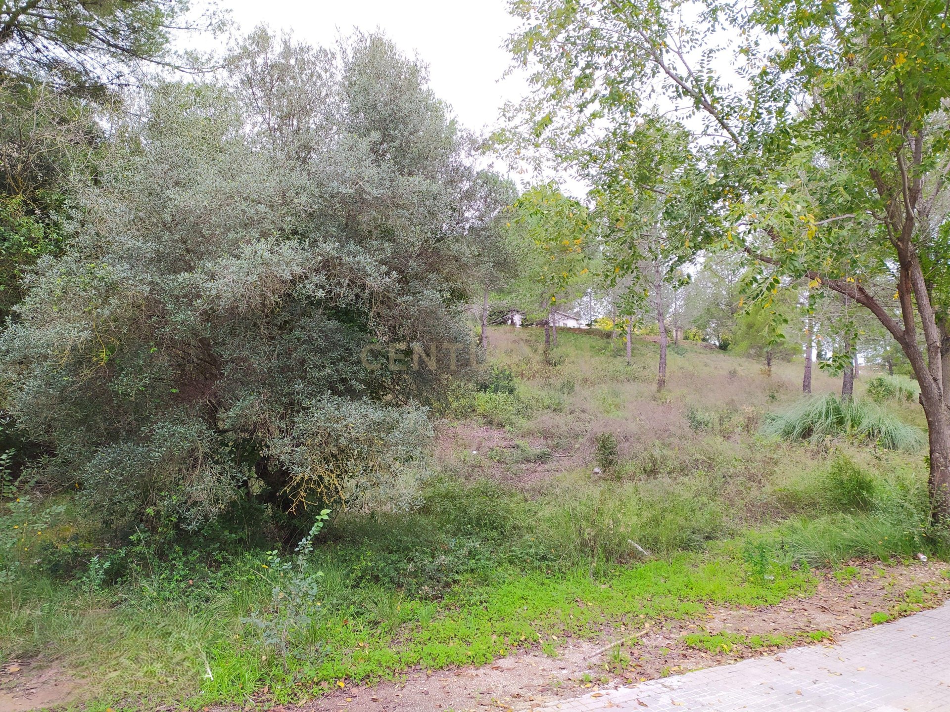 Land plot in Sant Llorenc D'hortons, Barcelona, Spain No. 186448