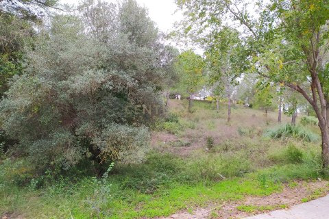 Land plot for sale in Sant Llorenc D'hortons, Barcelona, Spain No. 186448 - photo 28