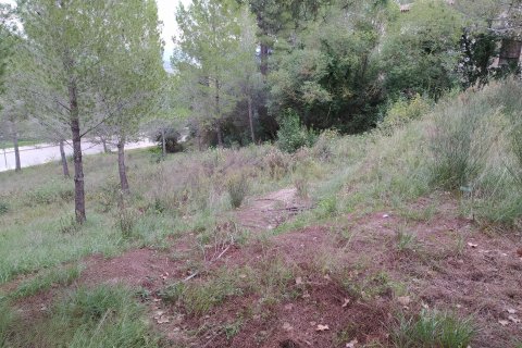 Land plot for sale in Sant Llorenc D'hortons, Barcelona, Spain No. 186448 - photo 6