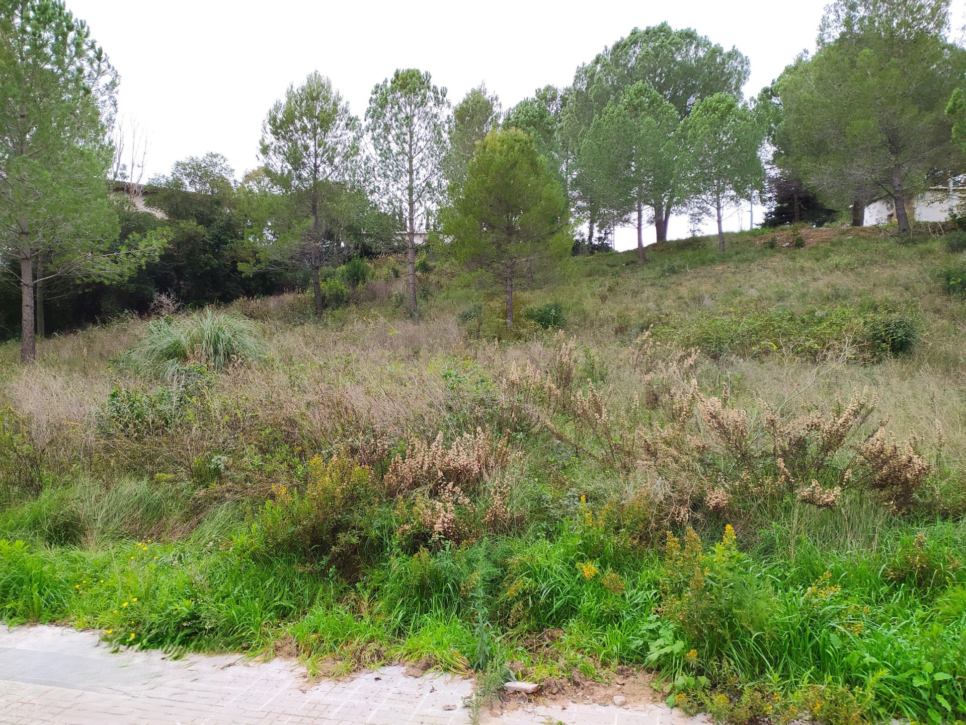 Land plot in Sant Llorenc D'hortons, Barcelona, Spain No. 186448