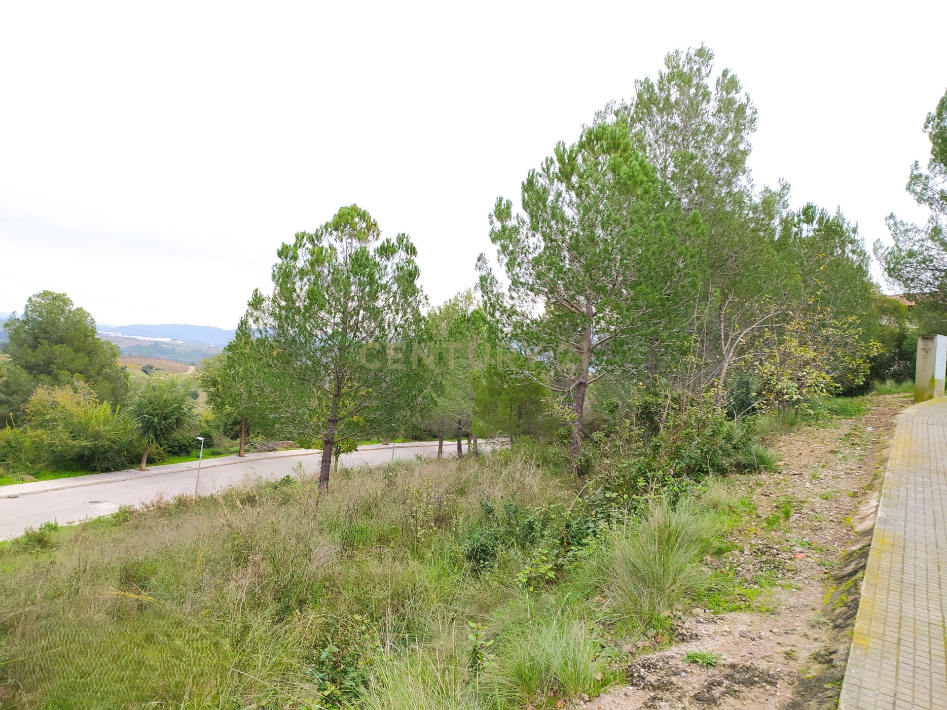 Land plot in Sant Llorenc D'hortons, Barcelona, Spain No. 186448