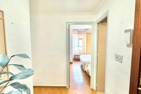 Apartament Torrevieja, Alicante, Hiszpania 3 sypialnie, 86 mkw. nr 138753 – zdjęcie 9