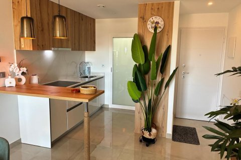 Apartamento en venta en Pilar de la Horadada, Alicante, España 2 dormitorios, 75 m2 No. 189700 - foto 23