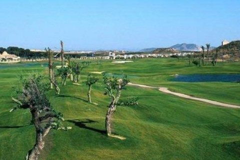 Villa till salu i Sucina, Murcia, Spanien 3 sovrum, 165 kvm. Nr. 171508 - foto 7