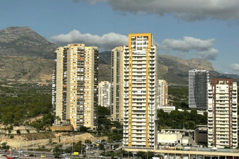 Apartment for sale Benidorm, Alicante, Spain 1 bedroom, 134 sq.m. No. 115333 - photo 17