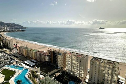 Apartment for sale Benidorm, Alicante, Spain 1 bedroom, 134 sq.m. No. 115333 - photo 25