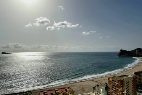 Apartment for sale Benidorm, Alicante, Spain 1 bedroom, 134 sq.m. No. 115333 - photo 10