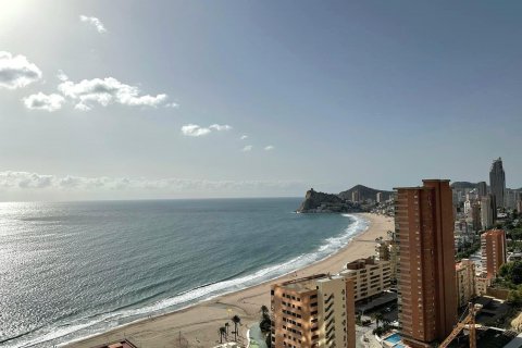 Apartment for sale Benidorm, Alicante, Spain 1 bedroom, 134 sq.m. No. 115333 - photo 9