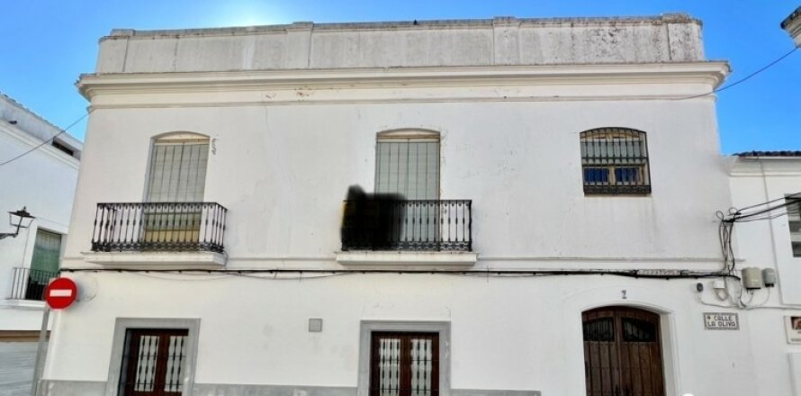 House in Jerez de los Caballeros, Badajoz, Spanien 6 Schlafzimmer, 320 m2 Nr. 186007
