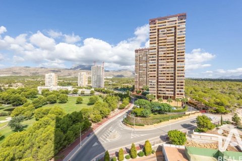 Huoneisto vuokrattavana Benidorm, Alicante, Espanja, 2 makuuhuonetta, 110 m2 No. 154275 - kuva 23