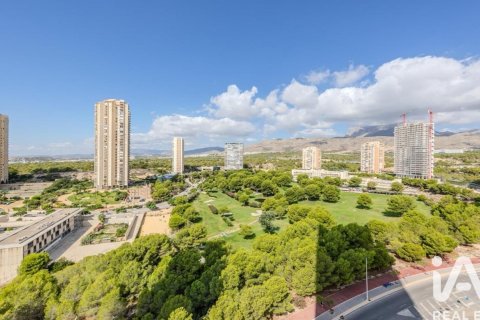 Huoneisto vuokrattavana Benidorm, Alicante, Espanja, 2 makuuhuonetta, 110 m2 No. 154275 - kuva 24