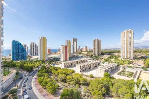 Huoneisto vuokrattavana Benidorm, Alicante, Espanja, 2 makuuhuonetta, 110 m2 No. 154275 - kuva 22