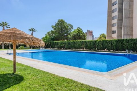 Huoneisto vuokrattavana Benidorm, Alicante, Espanja, 2 makuuhuonetta, 110 m2 No. 154275 - kuva 20
