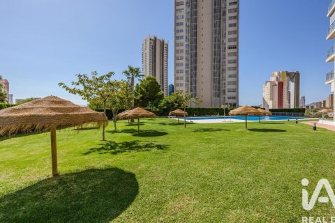 Huoneisto vuokrattavana Benidorm, Alicante, Espanja, 2 makuuhuonetta, 110 m2 No. 154275 - kuva 21