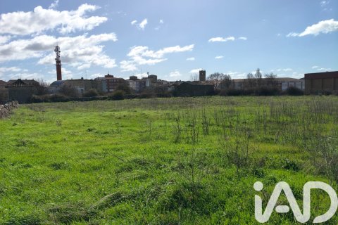 Parcela en Vitigudino, Salamanca, España 4151 m2 No. 185248