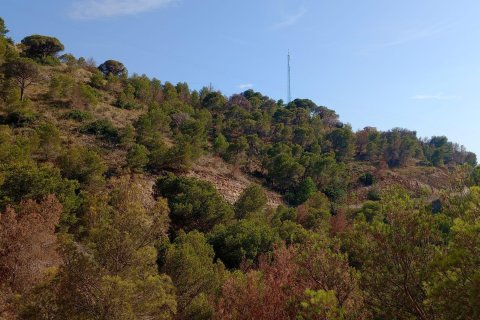 Apartment for sale in Benidorm, Alicante, Spain 2 bedrooms, 90 sq.m. No. 154549 - photo 14