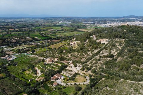 Продажа финки в Манакор, Майорка, Испания 4 спальни, 450м2 №147481 - фото 3