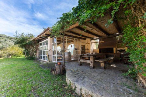 Продажа финки в Манакор, Майорка, Испания 4 спальни, 450м2 №147481 - фото 4