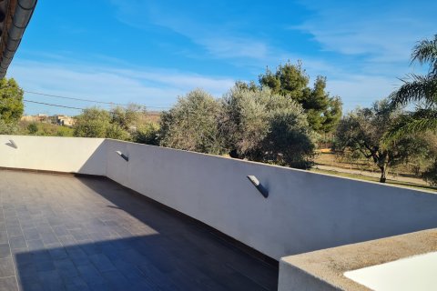 Finca vuokrattavana Inca, Mallorca, Espanja, 5 makuuhuonetta, 375 m2 No. 182699 - kuva 18