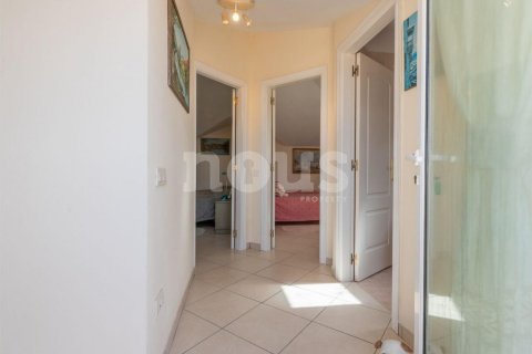 Penthauss pārdošanā Los Cristianos, Tenerife, Spānijā 3 istabas, 159 m2 Nr. 150062 - attēls 20