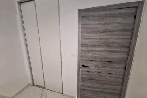 Appartamento in affitto a Torrevieja, Alicante, Spagna 1 camera da letto, 96 mq. N° 150058 - foto 15