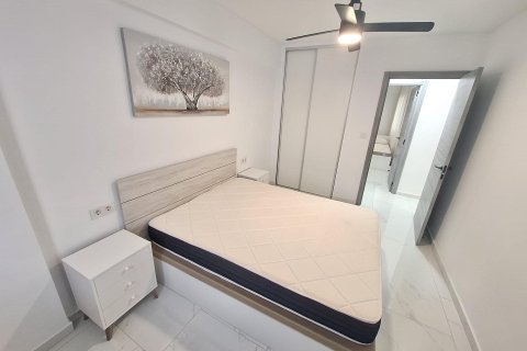 Appartamento in affitto a Torrevieja, Alicante, Spagna 1 camera da letto, 96 mq. N° 150058 - foto 12