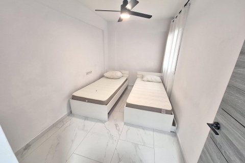 Appartamento in affitto a Torrevieja, Alicante, Spagna 1 camera da letto, 96 mq. N° 150058 - foto 6