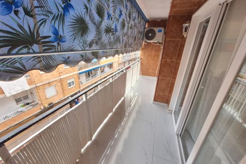 Appartamento in affitto a Torrevieja, Alicante, Spagna 1 camera da letto, 96 mq. N° 150058 - foto 13