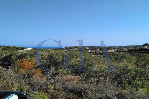 Villa in vendita Costa Nova, Alicante, Spagna 3 camere da letto, 510 mq. N° 72026 - foto 12