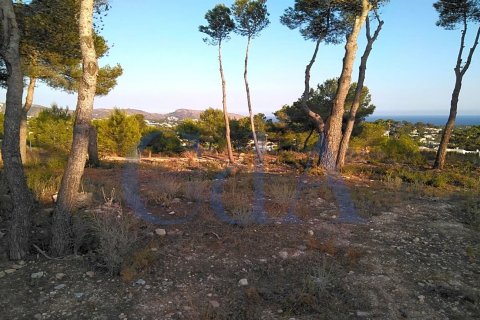 Villa in vendita Costa Nova, Alicante, Spagna 3 camere da letto, 510 mq. N° 72026 - foto 1