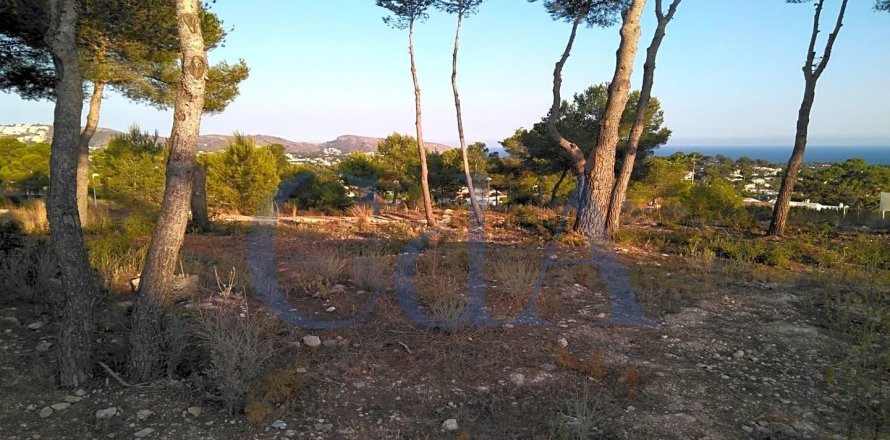 Villa Costa Nova, Alicante, Spagna 3 camere da letto, 510 mq. N° 72026