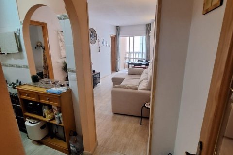 Продажа квартиры в Торревьеха, Аликанте, Испания 1 спальня, 63м2 №196071 - фото 9