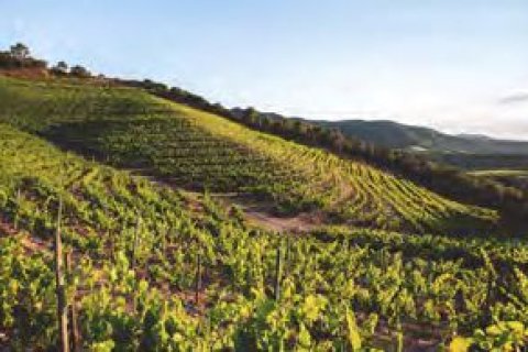 Apartment for sale in Barcelona, Spain 2 bedrooms, 200 sq.m. No. 143041 - photo 9