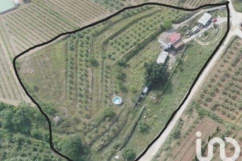 Terreno a Falset, Tarragona, Spagna 11537 mq. N° 153385