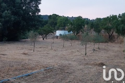 Продажа земельного участка в Фальсет, Таррагона, Испания 11537м2 №153385 - фото 9