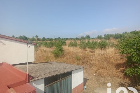 Продажа земельного участка в Фальсет, Таррагона, Испания 11537м2 №153385 - фото 5