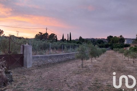 Продажа земельного участка в Фальсет, Таррагона, Испания 11537м2 №153385 - фото 8