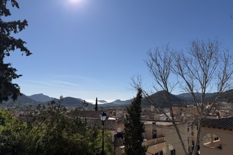 Продажа виллы в Андраткс, Майорка, Испания 3 спальни, 124м2 №149763 - фото 28