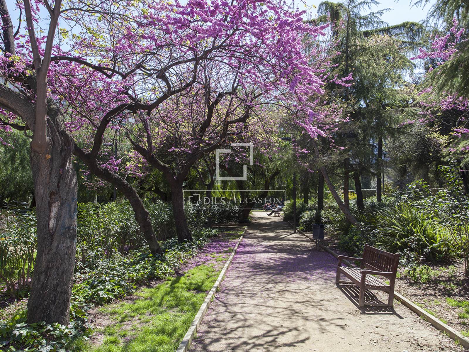 Appartamento a Barcelona, Spagna 5 camere da letto, 390 mq. N° 150790