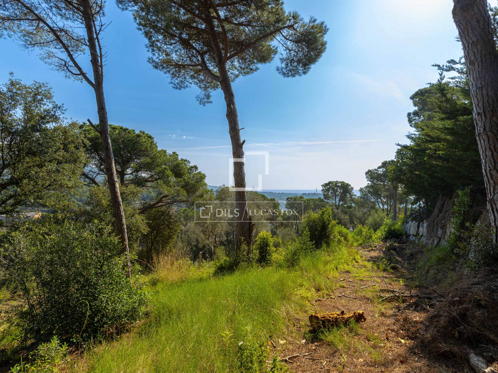 Villa i Sant Andreu de Llavaneres, Barcelona, Spanien 4 sovrum, 442 kvm. Nr. 150796