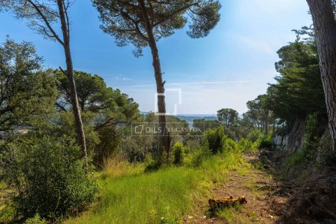 Villa for sale in Sant Andreu de Llavaneres, Barcelona, Spain 4 bedrooms, 442 sq.m. No. 150796 - photo 15